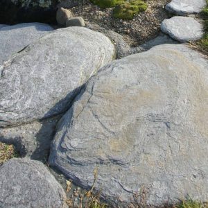 Alpine Stepper/ 300-500 MM - Image 12